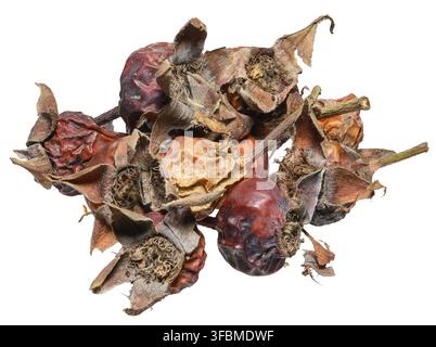 A bunch of dried rose hips on an isolated background Stock Photo