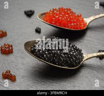 Grainy caviar of paddlefish fish and red chum salmon caviar in a spoon, black background, close up Stock Photo