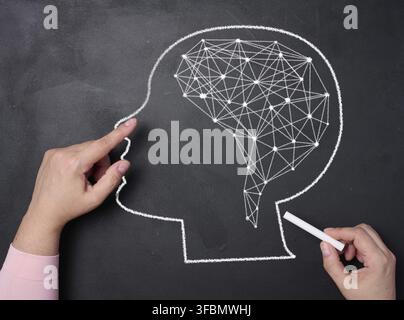 A woman's hand draws a silhouette of the head and connections inside the brain. Learning concept, neural connections Stock Photo