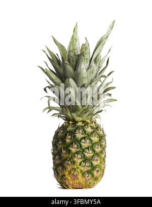 Fresh whole pineapple isolated on white background, close up Stock Photo