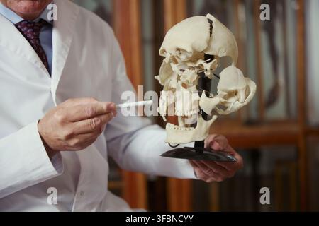 Middle aged Caucasian male scientist pointing at anatomical human skull model in laboratory. Image suitable for medical education, forensic science, and biology training materials Stock Photo