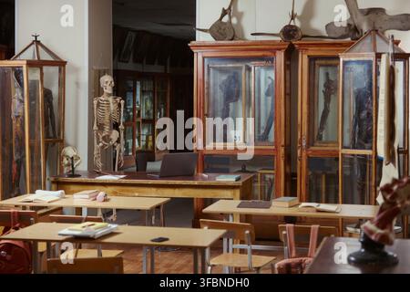 Empty anatomy classroom featuring human skeleton model, anatomical specimens in wooden cabinets, and student desks. Ideal for medical education and university biology course marketing Stock Photo