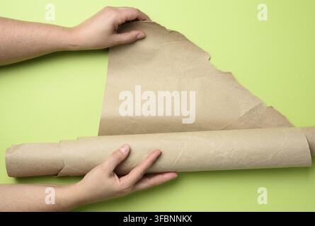 Two female hands hold rolled brown paper, green background, top view Stock Photo