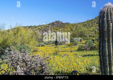 An overlooking view of Picacho Peak SP, Arizona Stock Photo