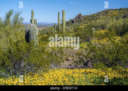 An overlooking view of Picacho Peak SP, Arizona Stock Photo