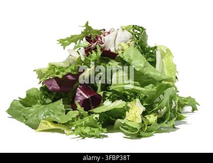 Mix of lettuce leaves escariole, frisee, radicchio, arugula on a white isolated background, dietary healthy food Stock Photo