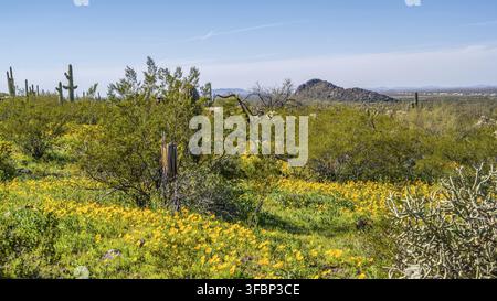 An overlooking view of Picacho Peak SP, Arizona Stock Photo