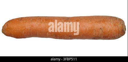 Whole raw carrot on white isolated background, close up Stock Photo