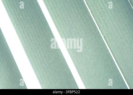 Abstract background in the form of vertical strpies UK Stock Photo