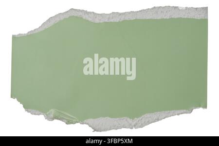 Green piece of cardboard with torn edges on isolated background, close up Stock Photo