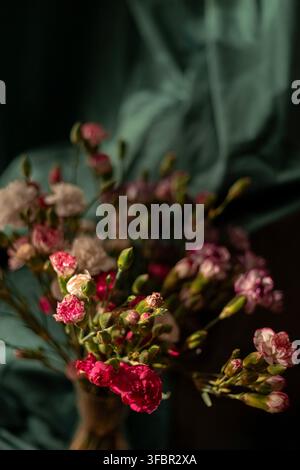 A bouquet of pink, white, and red carnations in a vase. The flowers are arranged against a draped dark green fabric background with moody lighting. Stock Photo
