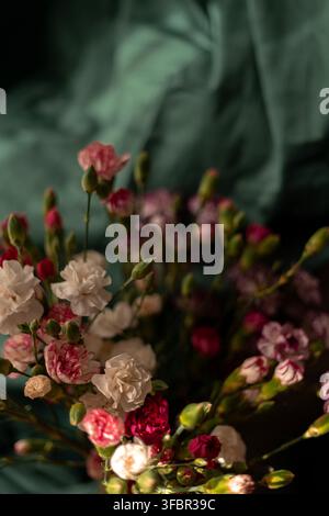 A detailed close up of a bouquet of pink and white carnations. The flowers are arranged against a dark green textured fabric background with soft ligh Stock Photo