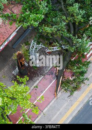 Aerial view of a large tree fallen across a bike path and sidewalk after a severe storm, damaging a metal structure in Riga, Latvia. Stock Photo