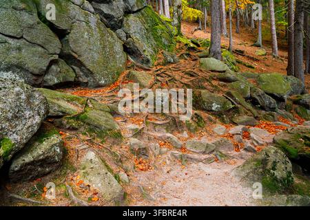 Trail. Autumn landscape with hiking trail in the mountain forest of the Karkonosze National Park in Poland, Europe Stock Photo
