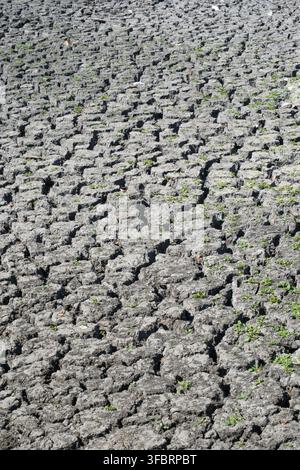 Cracked, dry bed of village pond due to intense heat of summer heatwave 2026 in London and South East England. Stock Photo