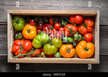 Rectangular crate with assorted heirloom tomatoes on wooden table. Fresh seasonal vegetables, natural rustic background Stock Photo