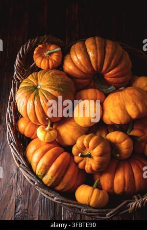 Overhead view of basket overflowing with miniature pumpkins on dark wooden background. Autumn harvest composition with squash and seasonal decor, top view Stock Photo