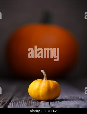 Large and small orange pumpkins on an old rusty wooden table close up. Thanksgiving or Halloween concept. Autumn, fall and pumpkin Stock Photo