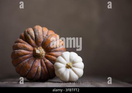 Close-up of three assorted pumpkins on wooden table against dark background in autumn setup. Moody food photography with seasonal styling and rustic fall atmosphere Stock Photo