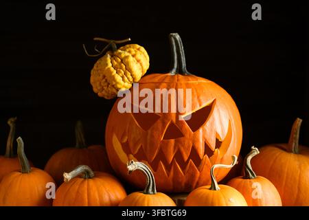 Close up of a carved Halloween pumpkin surrounded by decorative gourds and miniature pumpkins. Autumn harvest still life featuring seasonal decorations and rustic styling Stock Photo