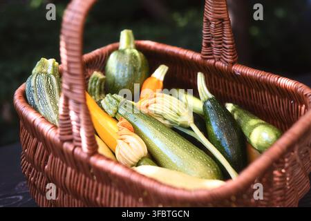Assorted zucchini in basket on wooden table, fresh organic vegetables, farm harvest concept. Green and yellow squash close-up, natural light, rustic composition Stock Photo