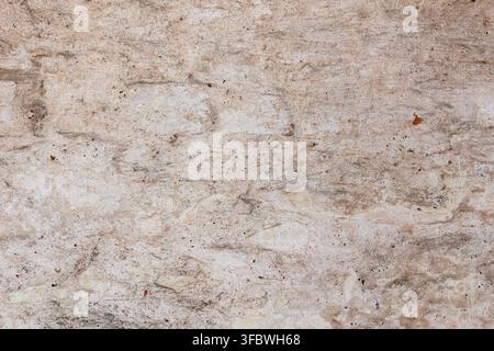 Rough beige plaster wall texture background Stock Photo