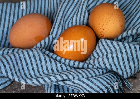 Three brown eggs resting on a folded blue and black striped kitchen towel. Stock Photo