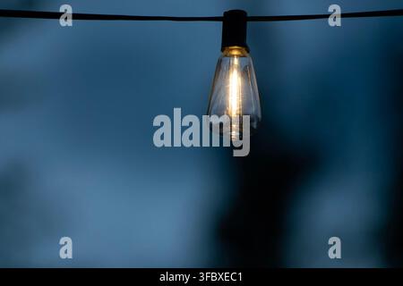 A vintage-style Edison LED bulb hanging from an outdoor string light, featuring a warm glowing vertical filament inside a clear glass Stock Photo