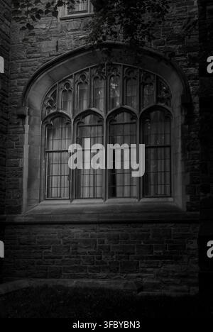 Black and white close up photo of large ornate gothic stained window with stone tracery framed by dark masonry and silhouetted tree leaves overhead. Stock Photo
