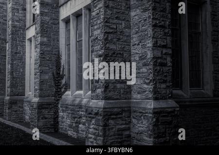 Close up perspective view of dramatic dark stone building wall featuring tall leaded glass windows, green ivy climbing the textured masonry, and deep Stock Photo