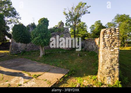 Ancient stone ruins of an old fortress wall overgrown with green trees, Abkhazia. Historical archaeological site with medieval masonry. History and na Stock Photo