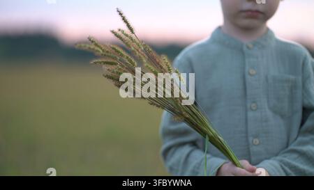 Close-up of childs hands clutching ornamental grass stems against blurred meadow at sunset, symbolizing growth, authenticity and peaceful bond with Stock Photo