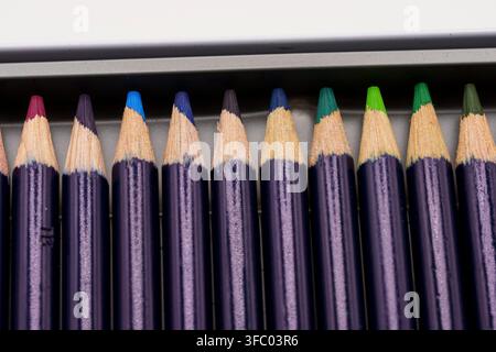 A neatly organized set of professional colored pencils displayed in a metal storage tin, showing sharpened tips in a rainbow spectrum of colors. The c Stock Photo