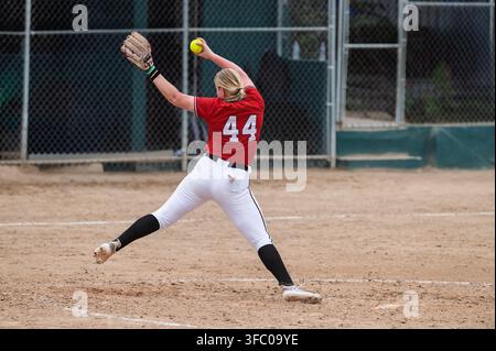A Female Softball Pitcher Is In Motion Going Through Full The Windup Stock Photo