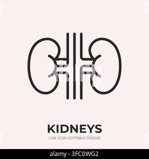 Kidneys line icon. Renal anatomy linear vector illustration. Thin sign of paired human organs with vessels for nephrology, urology, dialysis Stock Vector