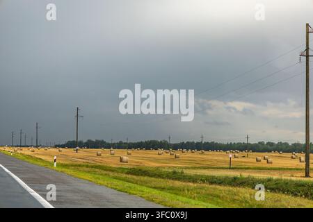 Round hay bales are scattered across a freshly harvested field beside a quiet country road. Dark storm clouds gather overhead Stock Photo