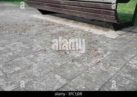 High angle close-up shot of a messy city pavement covered with garbage and debris. Conceptual imagery of urban pollution, vandalism, and environmental Stock Photo