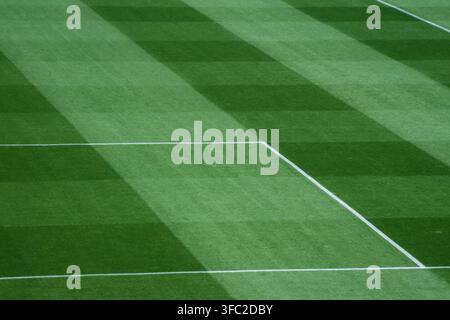 Pristine quality of this professional stadium turf showcases dynamic diagonal mowing patterns and crisp boundary lines, creating an inspiring backgrou Stock Photo