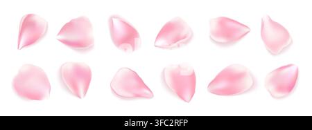 3D pink rose petals isolated with realistic pastel sakura floral elements for romantic wedding Valentine invitation greeting card decoration. Vector realistic set. Stock Vector
