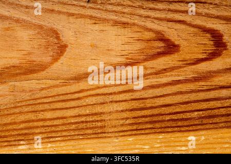 Brown uniform background with warm texture of natural construction material close-up view. Stock Photo