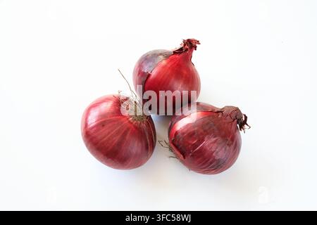 Red onions three ripe purple bulbs isolated on white background. Concept of farm fresh produce, healthy nutrition, and organic food ingredients. Stock Photo