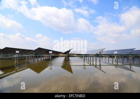 Under a clear blue sky with white clouds, neatly arranged solar power station supports and solar panels on the water form clear reflections, showing a Stock Photo