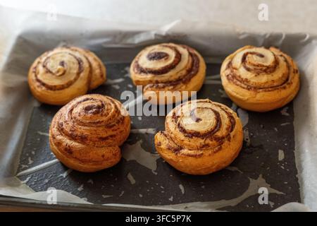 Close-up of five freshly baked cinnamon rolls without icing on a parchment-lined baking tray. Golden brown homemade pastries with visible cinnamon swi Stock Photo