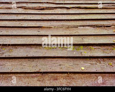 Close-up view of aged, horizontal wooden planks showing natural texture, moss growth, and scattered pine needles Stock Photo
