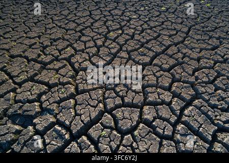 Deep fissures in arid cracked earth during prolonged drought Stock Photo