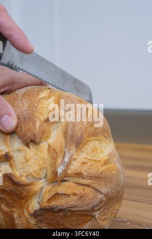 Hand cut fresh bread with a serrated knife, bake bread, Haselstaller Hof, Gechingen, Calw district, Germany Stock Photo