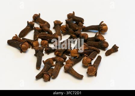 Dried cloves on white background Stock Photo