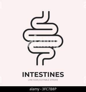 Intestines line icon. Small bowel linear vector illustration. Thin sign of coiled human digestive organ for gastroenterology, digestion, microbiome Stock Vector
