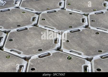 Close-up of interlocking gray hexagonal paving stones, with green sprouts visible between the gaps Stock Photo