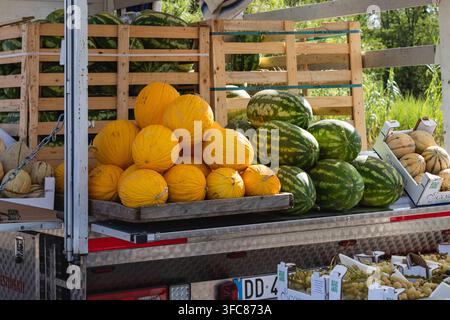 Close-up of ripe watermelons and yellow melons. Abundance of seasonal farm harvest. Stock Photo
